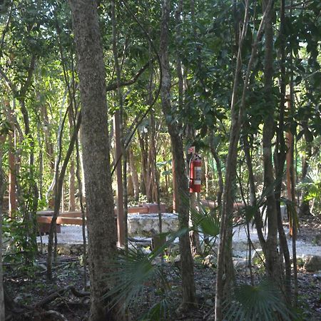 Glamping Mayan Glam Tulum Zewnętrze zdjęcie