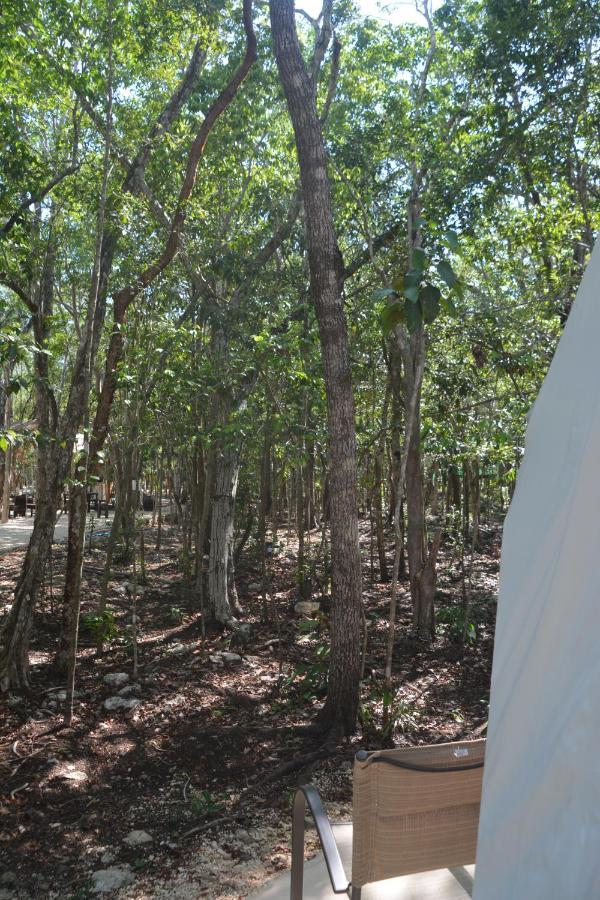 Glamping Mayan Glam Tulum Zewnętrze zdjęcie