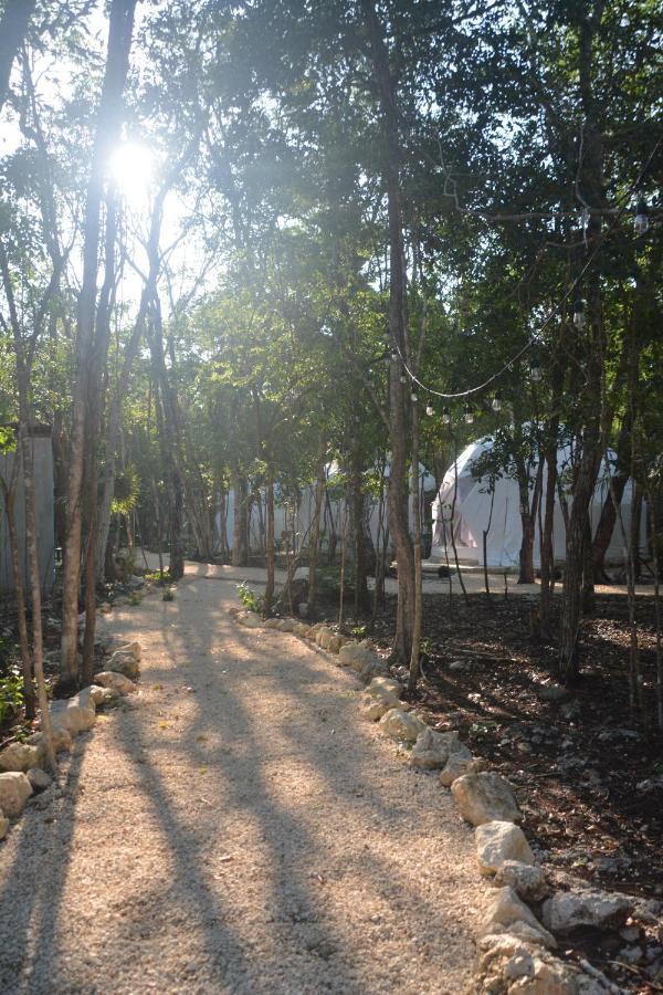 Glamping Mayan Glam Tulum Zewnętrze zdjęcie
