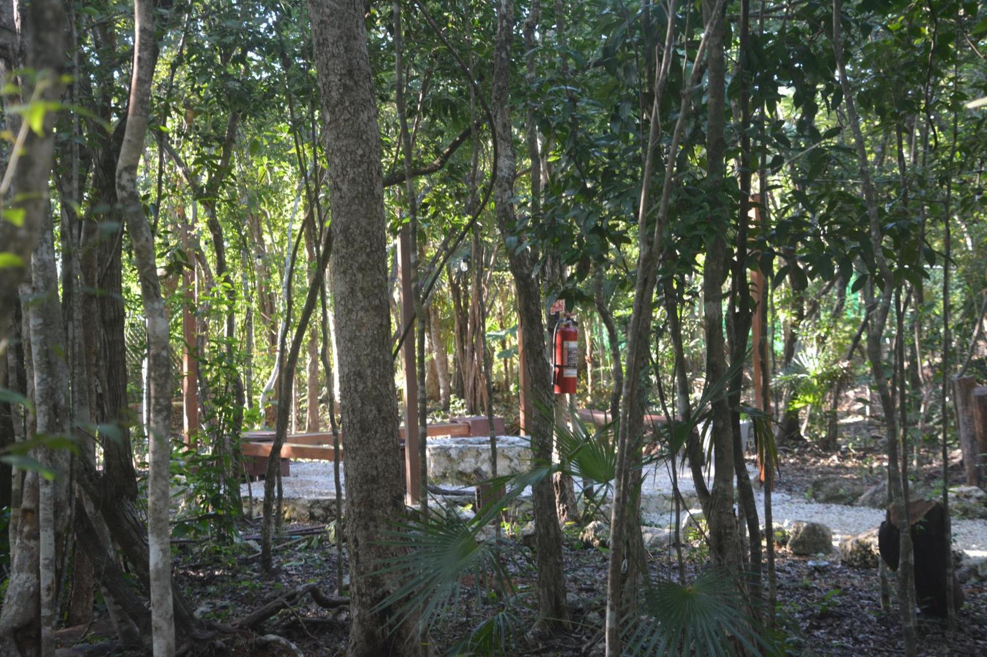Glamping Mayan Glam Tulum Zewnętrze zdjęcie